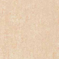 Polished tiles ( Micro-powder)