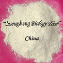Rice Protein meal [Specialties Export]