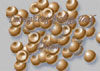 artemia cysts