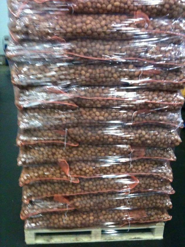 Walnut