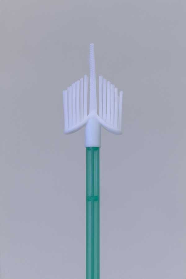 Cervix Brush