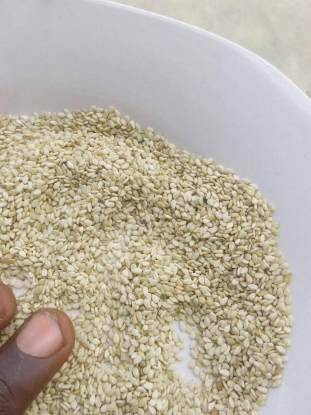 Sesame Seeds