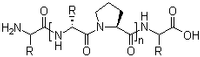 Collagen 