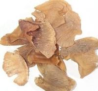 Endothelium Corneum Gigeriae Galli P.E.   