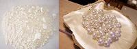 Instant pearl powder 