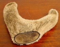 Pilose Antler Extract   