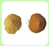 Radix Platycodi Extract 8:1,4:1