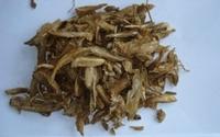 Radix Stemonae Extract