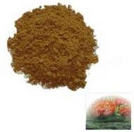 Reishi Mushroom Extract