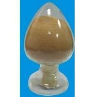 Salvia Miltiorrhiza Root Extract