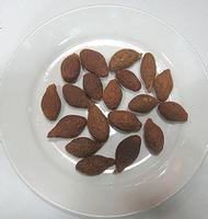 Scaphium Seed extract