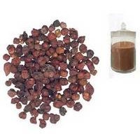 Schisandra Berry Extract