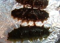 Sea Cucumber Powder