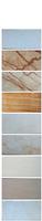 ceramic wall tile