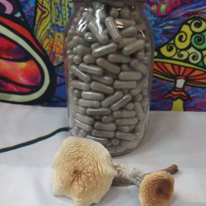 psilocybin mushrooms for sale oregon Telegram: @Drdday