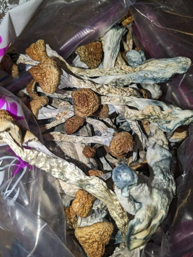 buy psilocybin mushrooms online usa