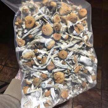 mushroom side effects long-term