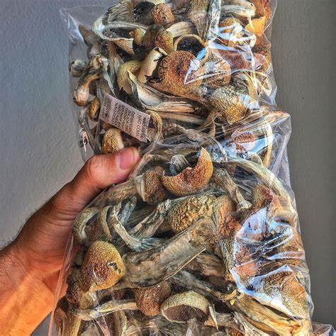psychedelic drugs 