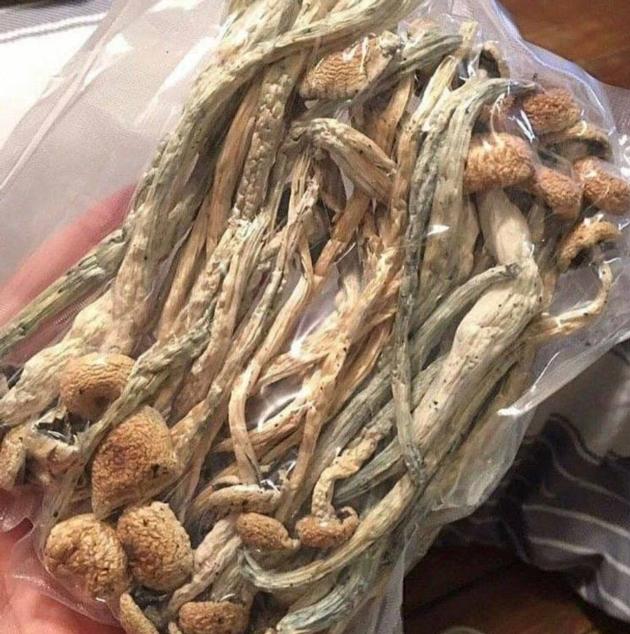 magic mushroom shop
