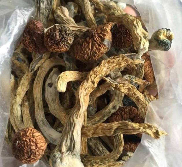 Amazing budtender near California