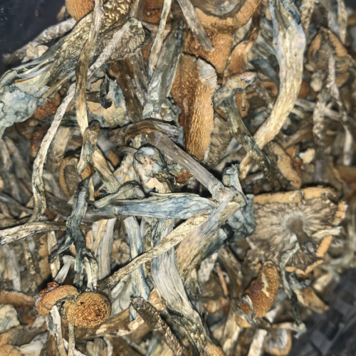 magic mushroom online store  Telegram: @Drdday