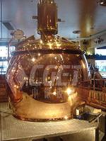 beer mash system