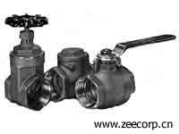 Cast Iron Valves with Threaded End