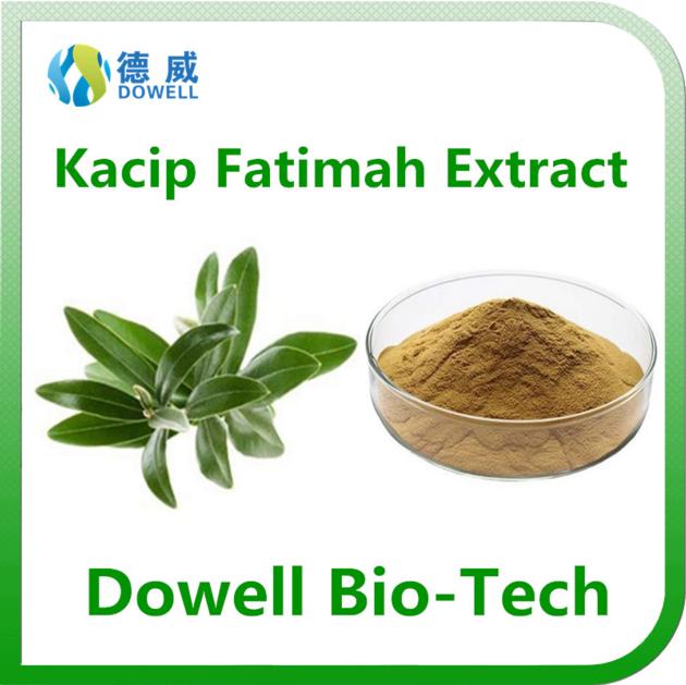 Factory supply natural top quality female Kacip Fatimah Extract 5:1,10:1