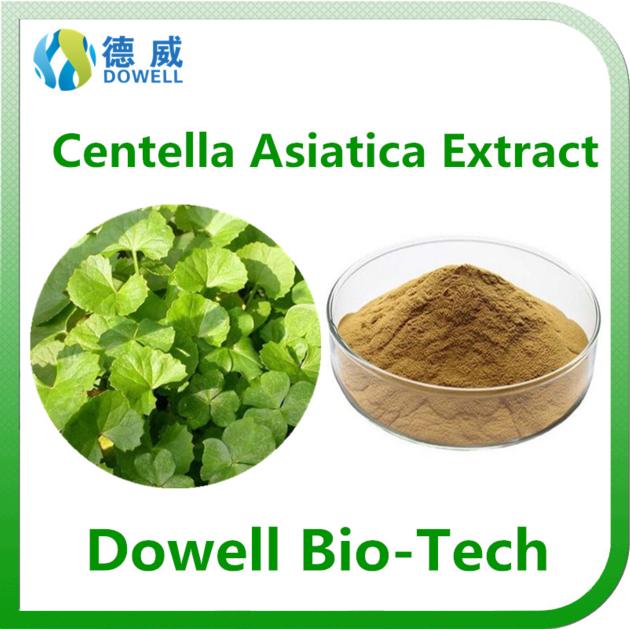 Health benefits Centella Asiatica Extract /Gotu Kola Extract powder 10% Asiaticosides