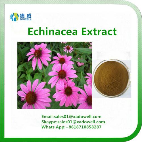 Botanical Extract Echinacea Extract CAS No:70831-56-0