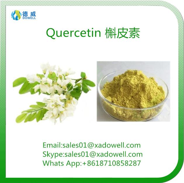 Sophora Japonica Extract Quercetin CAS No:117-39-5