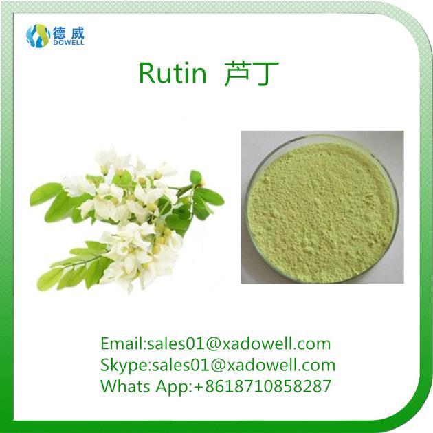 Plant Extract Powder Rutin CAS No:153-18-4