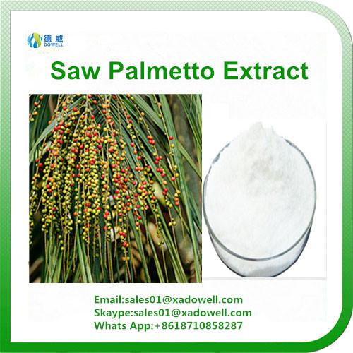 Natual Saw palmetto extract CAS: 84604-15-9