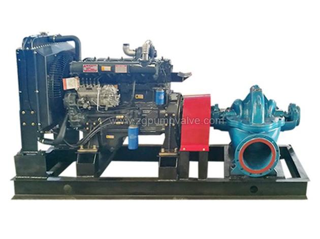 Diesel engine double suction pump