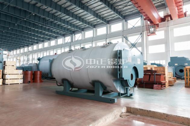 Industrial WNS Oil Gas Fired Central Heating Hot Water Boiler Heater 