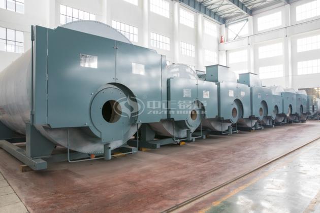 7MW biogas fired boiler Hot Water with Italy Burner 