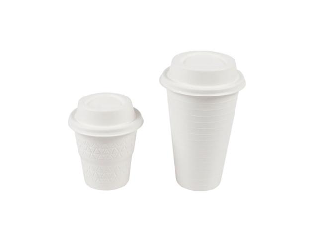 Eco Friendly Disposable & Biodegradable Molded Pulp Containers