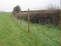 Field Fence - High Tensile Wire & Low Carbon Steel