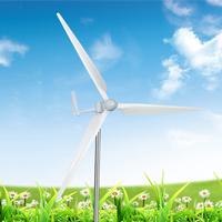1KW wind turbine for family using