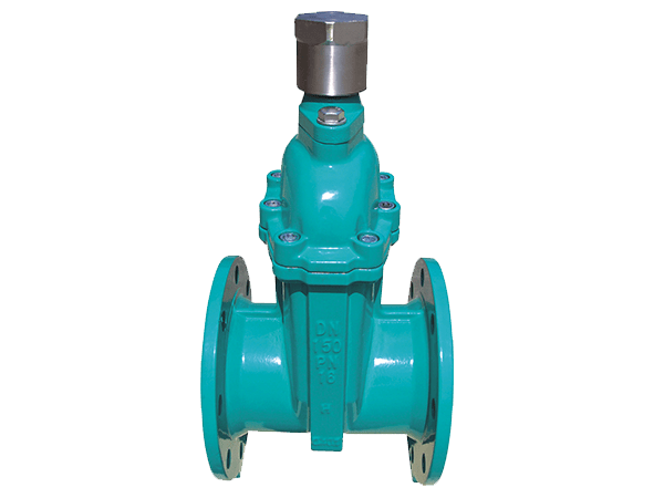 Resilient Gate Valve with Magnetic Lock