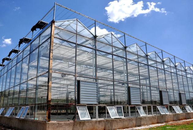 Metal Frame Greenhouse