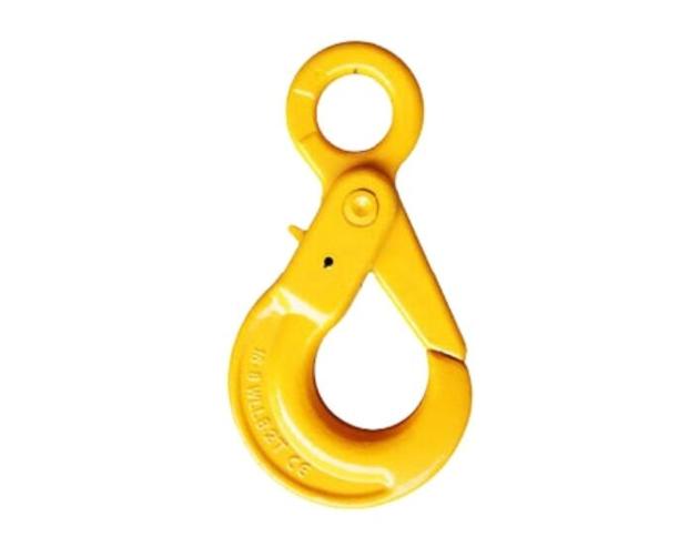 G80 Eye Self Locking Hook