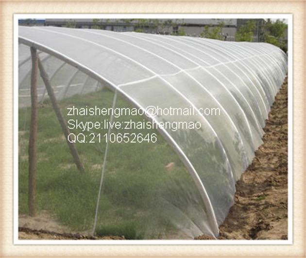 anti insect net 