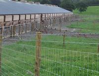 High Tensile Field Fence – Strong yet Light Weight