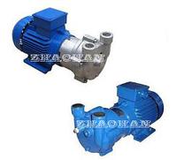 2BV Liquid Ring Vacuum Pump Interchangeable With Siemens Pump