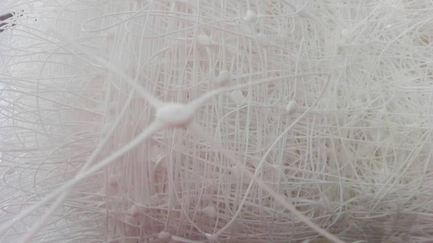 China Factory Plastic BI Oriented Plant