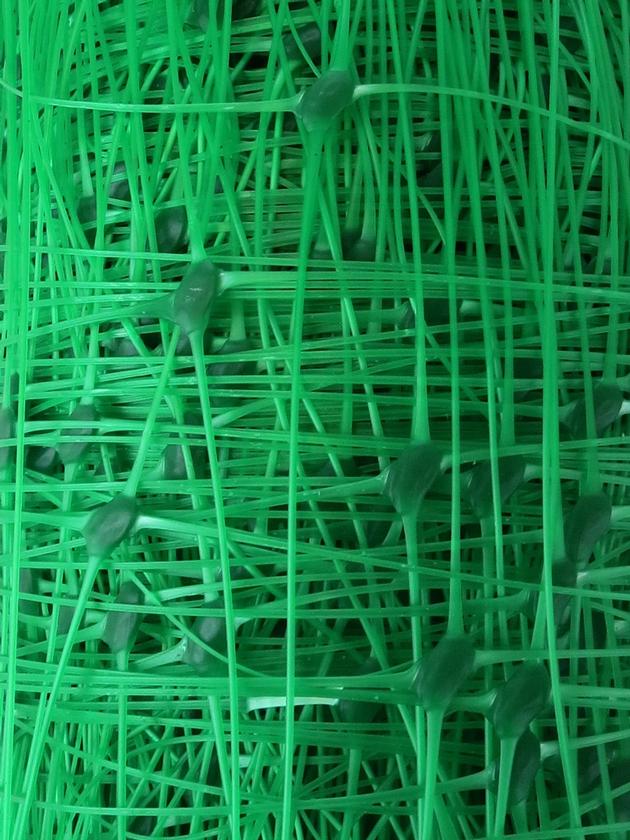 China Factory Plastic BI Oriented Plant