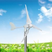 300W wind turbine