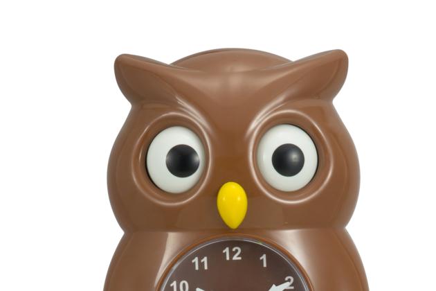 Dynamic Owl S Wall Clock