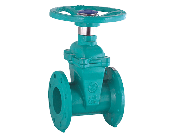 Resilient Seated Gate Valve